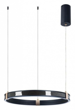 Подвесной светильник Arte Lamp Shine A2222SP-1BK