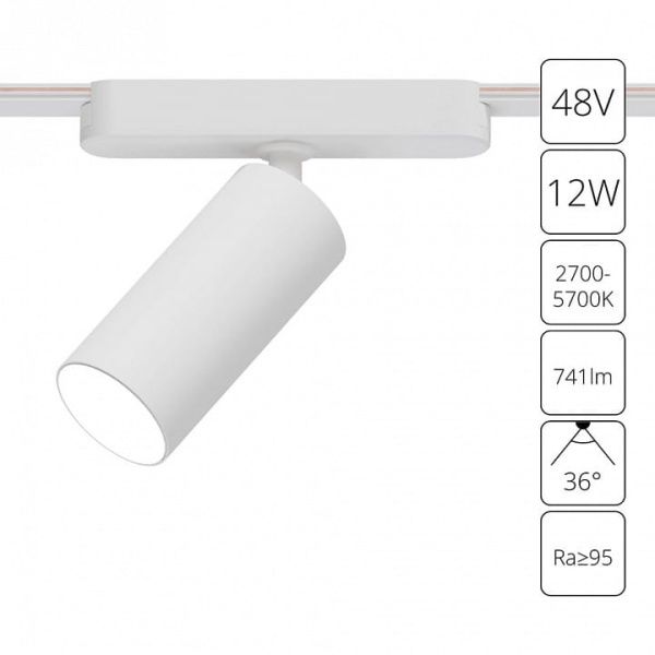 Светильник на штанге Arte Lamp Rapid A2958PL-1WH