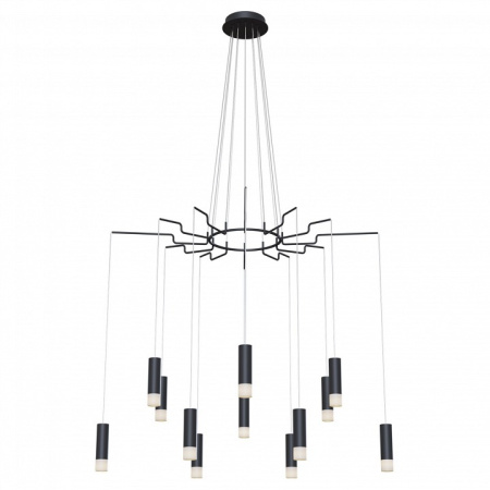 Подвесная люстра Maytoni Davida MOD035PL-12B
