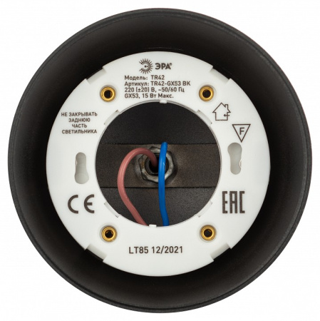 Светильник на штанге Эра TR42-GX53 BK