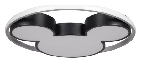 Накладной светильник Loft it Mike 10166