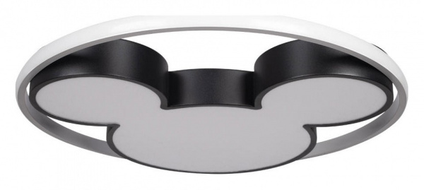 Накладной светильник Loft it Mike 10166