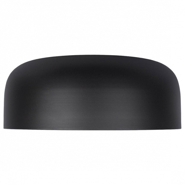 Накладной светильник Loft it Axel 10201/480 Black