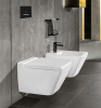 Унитаз подвесной Villeroy&Boch Finion 4664R0R1
