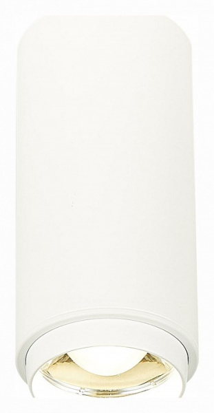 Накладной светильник ST-Luce Zoom ST600.542.10