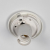 Накладной светильник Citilux RON CL941D20B0