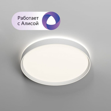 Накладной светильник Denkirs PLATO DK6511-WH