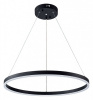 Подвесной светильник Arte Lamp Siren A2548SP-45BK