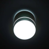 Накладной светильник Citilux Борн CL745020N