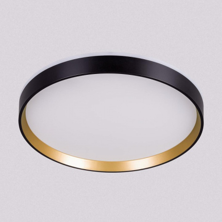 Накладной светильник Citilux ETALON CL750321R