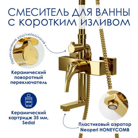 Душевая стойка WasserKRAFT A171.263.207.PG глянцевое золото