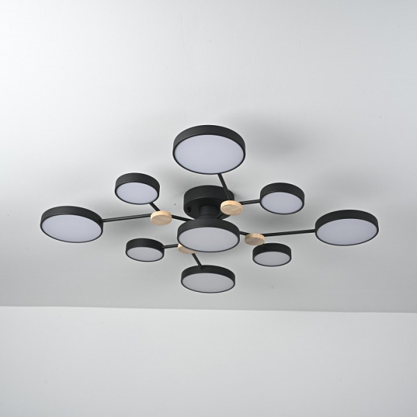 Потолочная люстра Imperiumloft GAMMA gamma01