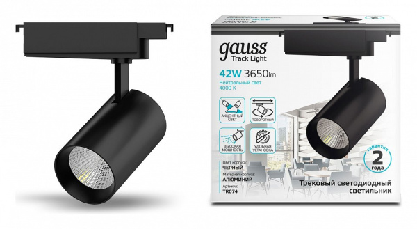 Светильник на штанге Gauss TR TR074