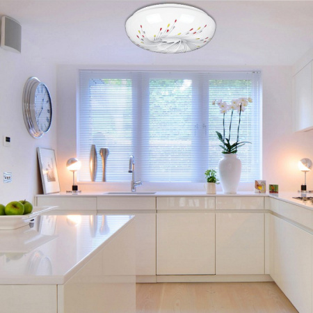 Накладной светильник Luminarte Fiesta CLL02