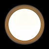 Накладной светильник Loft it Coin 10202 BB