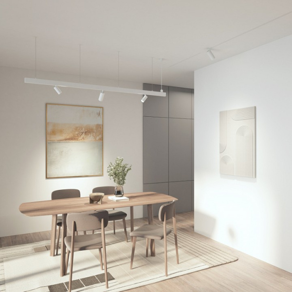 Светильник на штанге Denkirs SIMPLE SPOT DK8210-WH