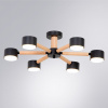 Потолочная люстра Arte Lamp TENDA A1624PL-6BK