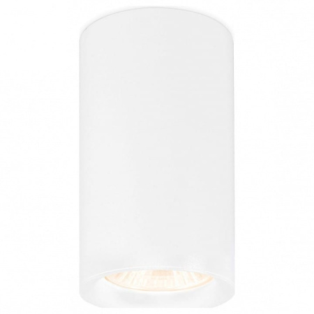 Накладной светильник Ambrella Light TN TN213133