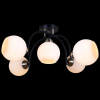 Потолочная люстра ILLUMICO  IL0250-5CSQ-79 BK AB