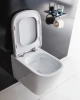 Крышка-сиденье BelBagno Albano BB120SC с микролифтом петли хром
