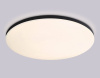Накладной светильник Ambrella Light FZ FZ2006