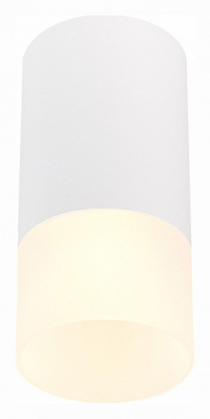 Накладной светильник ST-Luce ST100 ST100.512.01