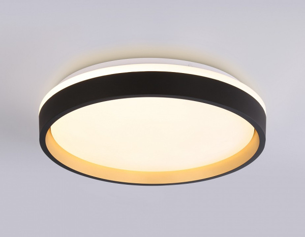 Накладной светильник Ambrella Light FZ FZ604