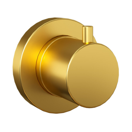 Переключатель Paini Cox 78PJ425 золото матовое