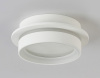 Накладной светильник Ambrella Light TN TN5383