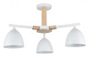 Люстра на штанге Lumion Colange 8095/3C