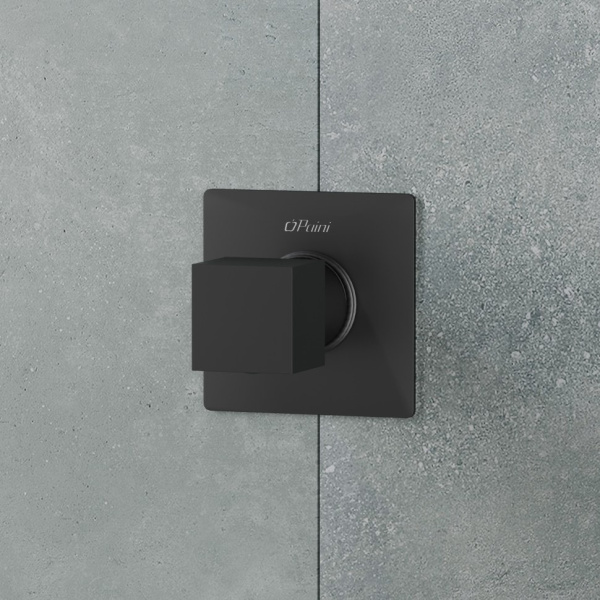 Переключатель Paini Grazia 21PZ425 черный матовый