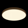 Накладной светильник Loft it Flims 10228/B