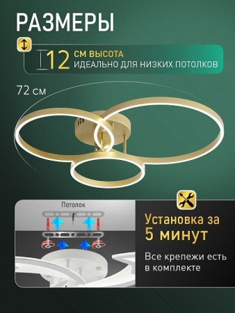 Потолочная люстра Natali Kovaltseva  LED LAMPS 81480