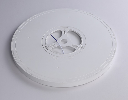 Накладной светильник Ambrella Light FZ FZ1955