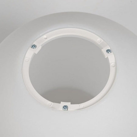 Накладной светильник Citilux RON CL941D20B1