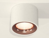 Накладной светильник Ambrella Light XS XS7510025