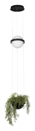 Подвесной светильник Loft it Jardin 10121/B