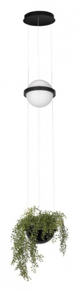 Подвесной светильник Loft it Jardin 10121/B