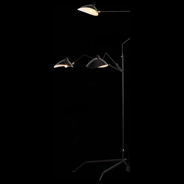 Торшер ST-Luce Spruzzo SL305.405.03