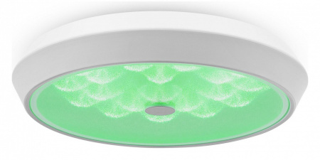 Накладной светильник Freya Cells FR10012CL-L24W