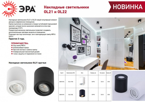 Накладной светильник Эра OL21 BK Б0054393
