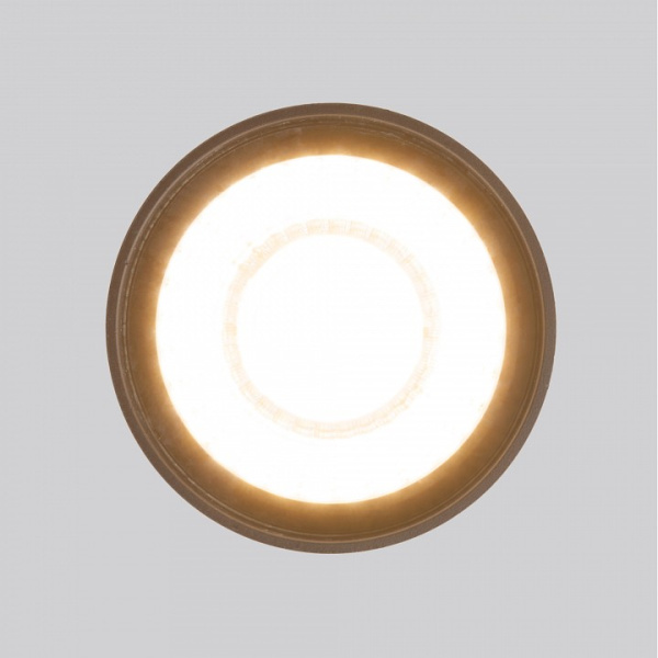 Накладной светильник Elektrostandard Light LED a056231