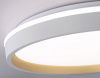Накладной светильник Ambrella Light FZ FZ607