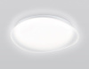 Накладной светильник Ambrella Light ORBITAL FZ1610