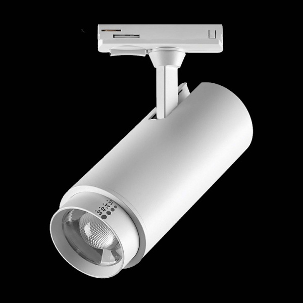 Светильник на штанге Lightstar Fuoco P+CCT 218026