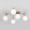 Потолочная люстра Citilux Dorsy CL223151