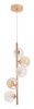 Подвесная люстра Arte Lamp Etereo A5261SP-5GO