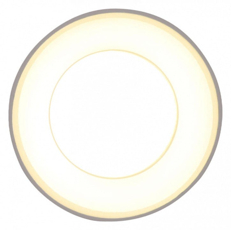 Накладной светильник Ambrella Light TN TN3411
