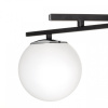 Потолочная люстра Citilux Dorsy CL223142