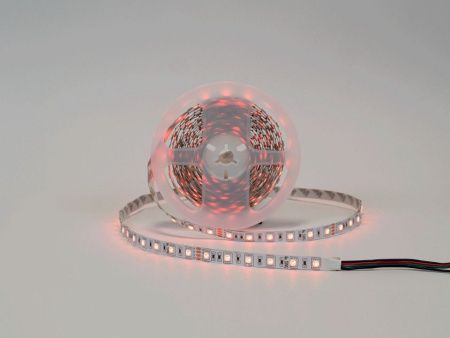 Лента светодиодная SWG SWG-CL560 00-00009902